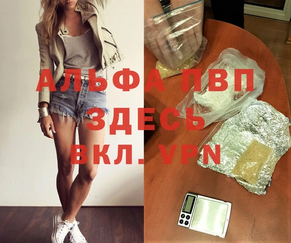 СК Медногорск