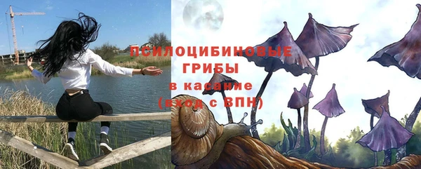СК Медногорск